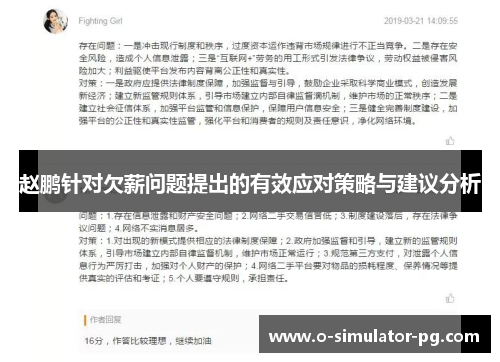 赵鹏针对欠薪问题提出的有效应对策略与建议分析