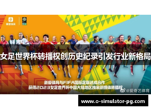 女足世界杯转播权创历史纪录引发行业新格局